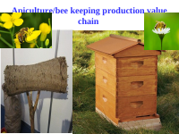 Bee Keeping.ppt